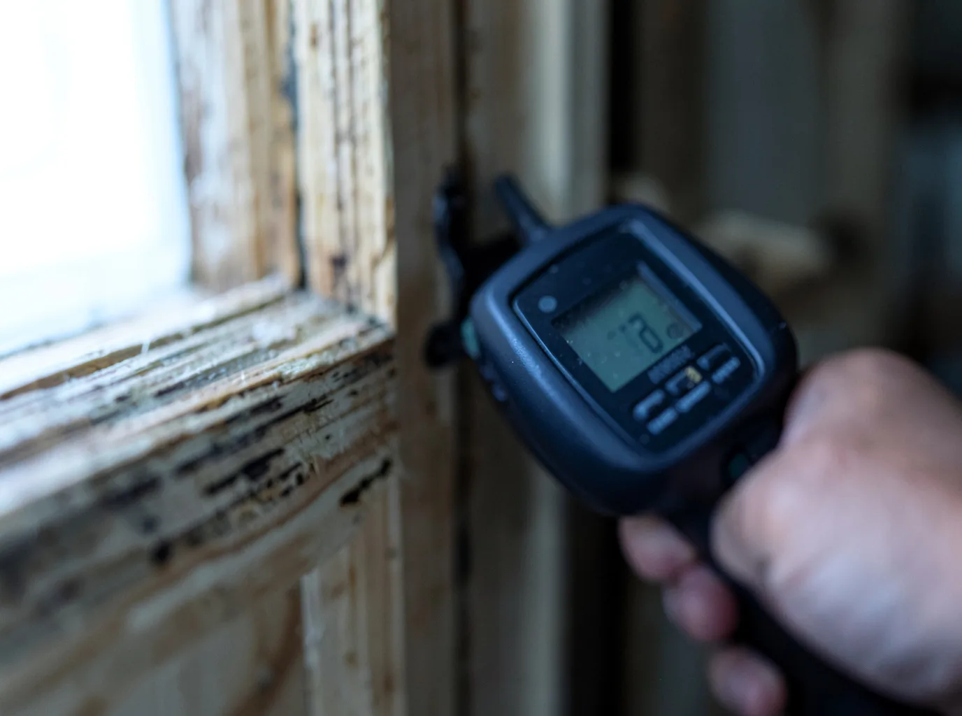 Moisture Inspection And Documentation in Johnsonville, NY